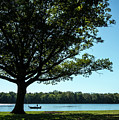 Fisherman on the Delaware River