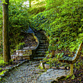 The Uneven Steps